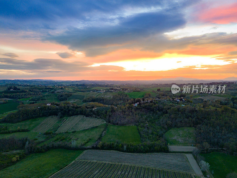 夕阳下的托斯卡纳葡萄园