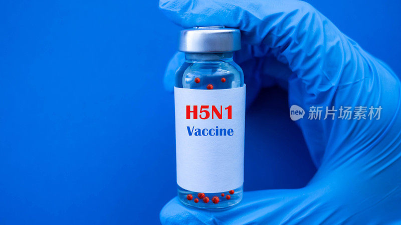 甲型H5N1禽流感疫苗。禽流感的流行和大流行的危险。从动物到人类的病毒。阻止病毒。