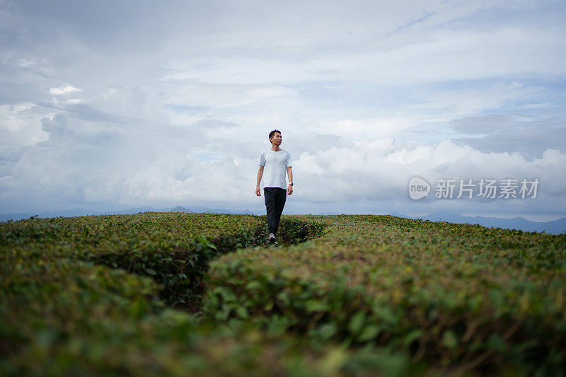 男子观赏茶园