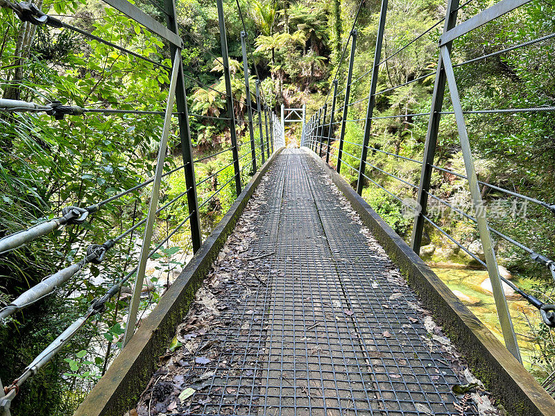 郁郁葱葱的亚热带森林中的木栈桥