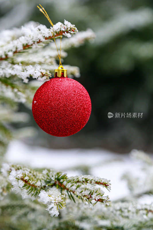 挂在结霜的松树上的红色圣诞小玩意，特写