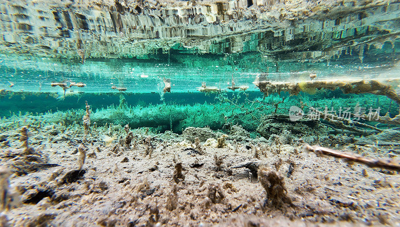 水下拍摄的一个沼泽湖，绿松石般的水和令人毛骨悚然的腐烂树干