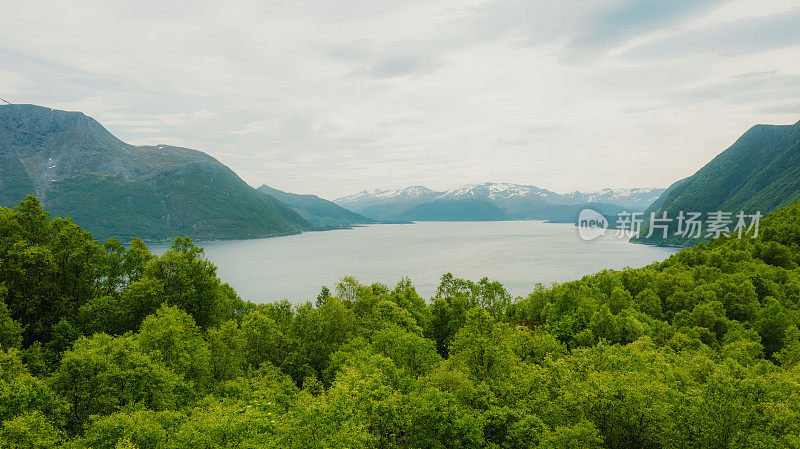 鸟瞰田园夏日风景与峡湾和雪山的挪威，斯堪的纳维亚半岛