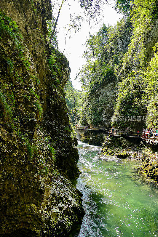 森林深处的瀑布，数码照片为背景，拍摄于欧洲斯洛文尼亚的流血湖地区