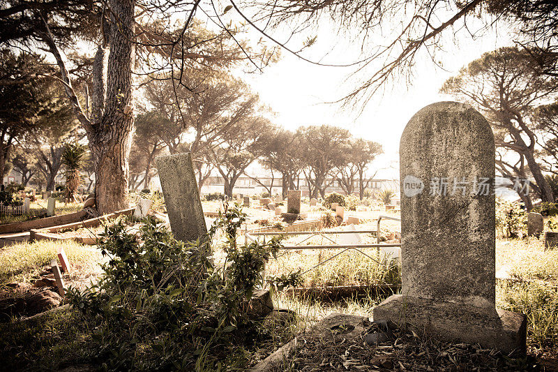 朦胧的墓地和墓碑