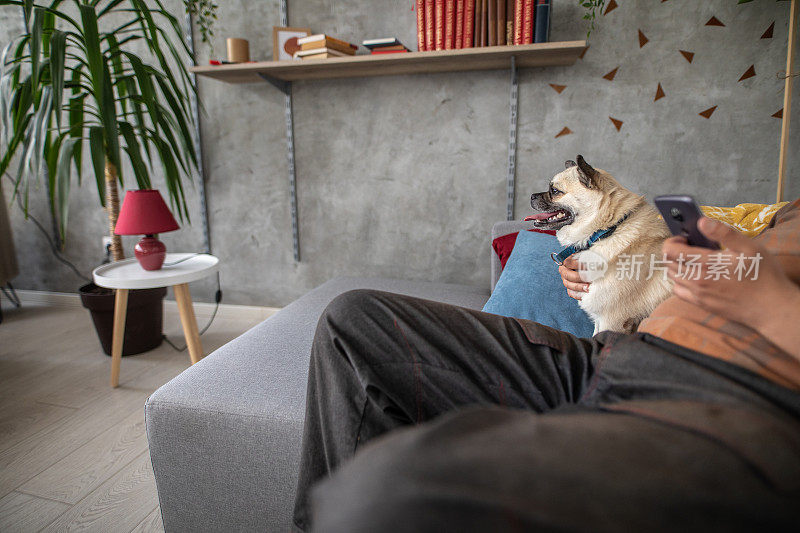 男人在网上冲浪，在家里放松的时候抚摸着狗