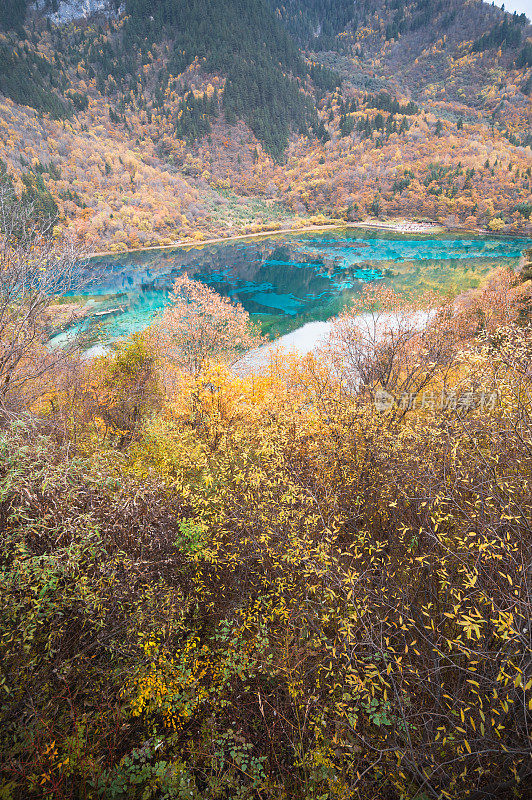 在九寨沟自然(九寨沟国家公园)，有令人惊叹的清澈的水和五彩缤纷的秋林和美丽的风景