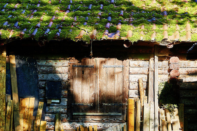 废弃的木屋，屋顶长满青苔
