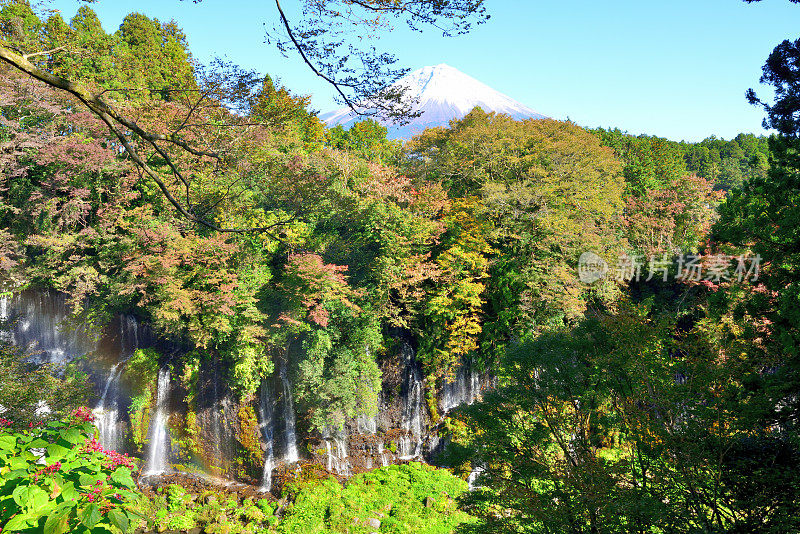 静冈县Fujinomiya的初秋富士山和白井瀑布