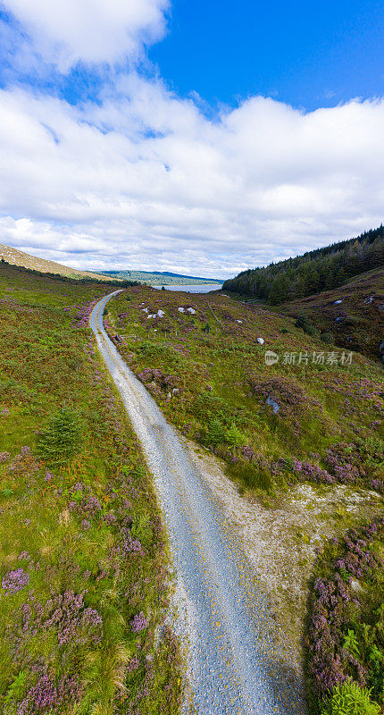 垂直全景土路通往一个偏远的湖在农村邓弗里斯和加洛韦，苏格兰西南部