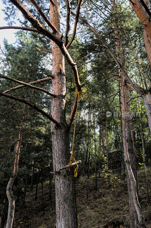 手工制作的绳子在松树上荡秋千
