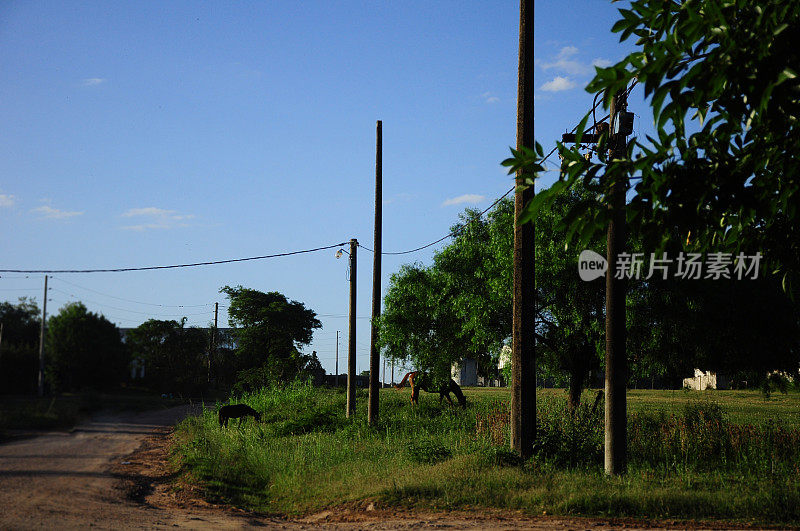 道路照明