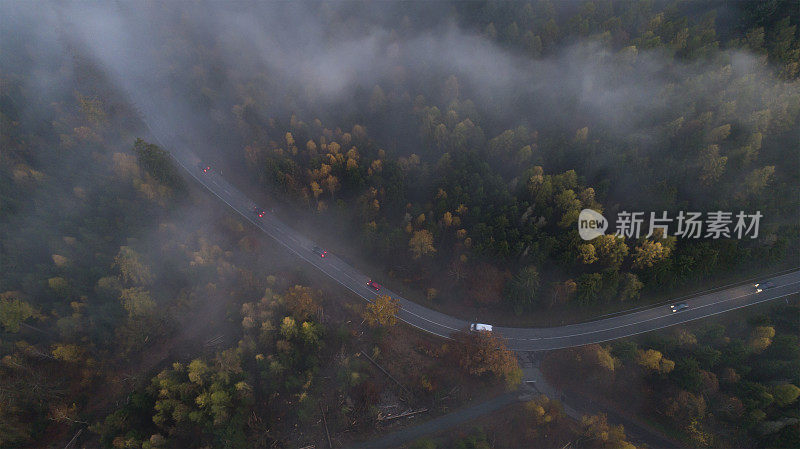 雾在陶诺斯山，森林地区和道路鸟瞰图