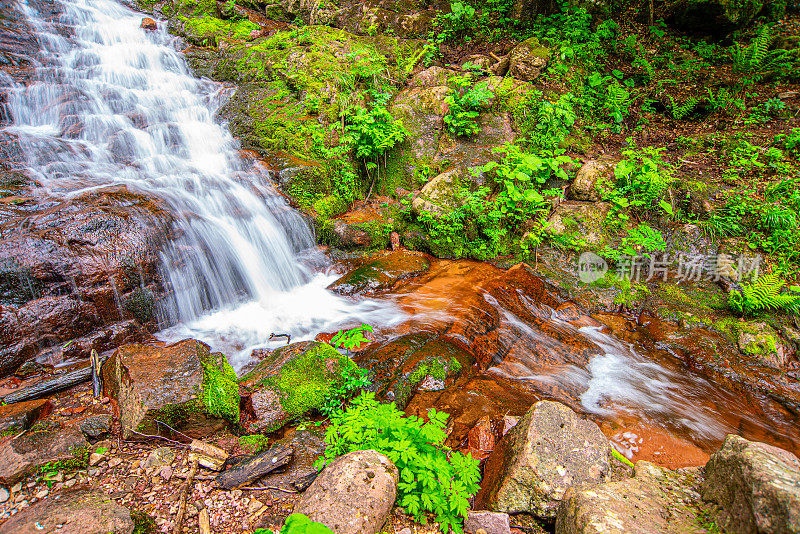 皮尔斯基瀑布瀑布般倾泻而下，苍翠的青苔覆盖在老山的森林里