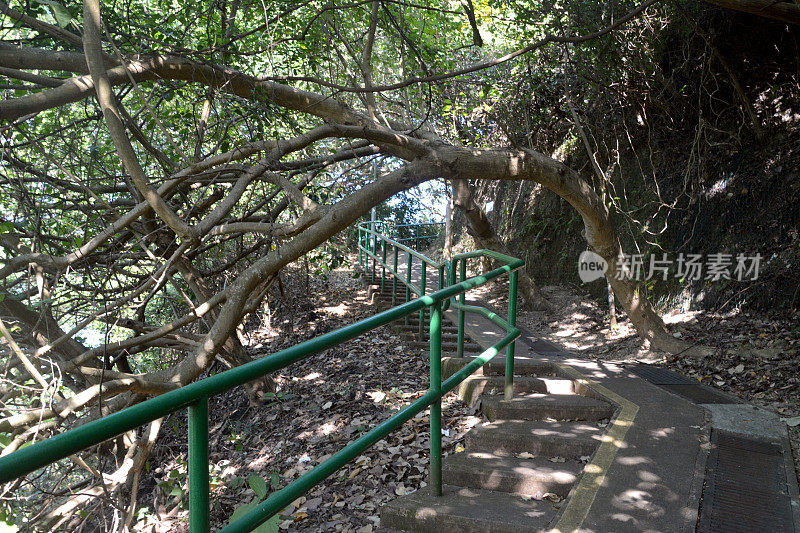 香港坪洲的家庭步道