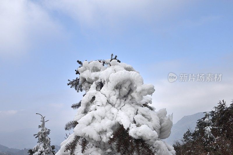 山上和森林里到处都是白霜