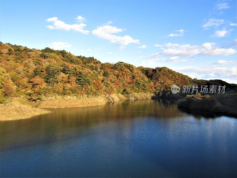 日本。11月的晴朗天气。山湖。