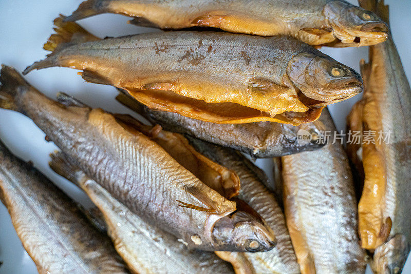 鲑鱼鳟鱼在工业鱼类生产设施的案例