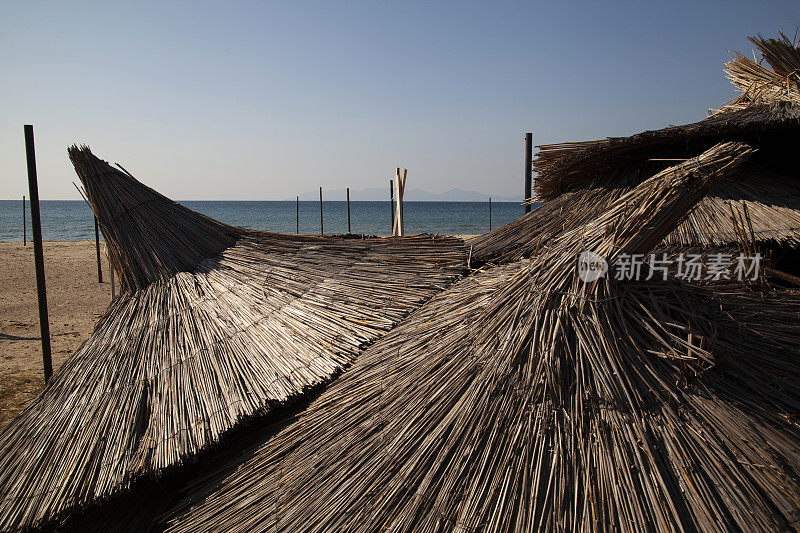 柳条木材纹理背景