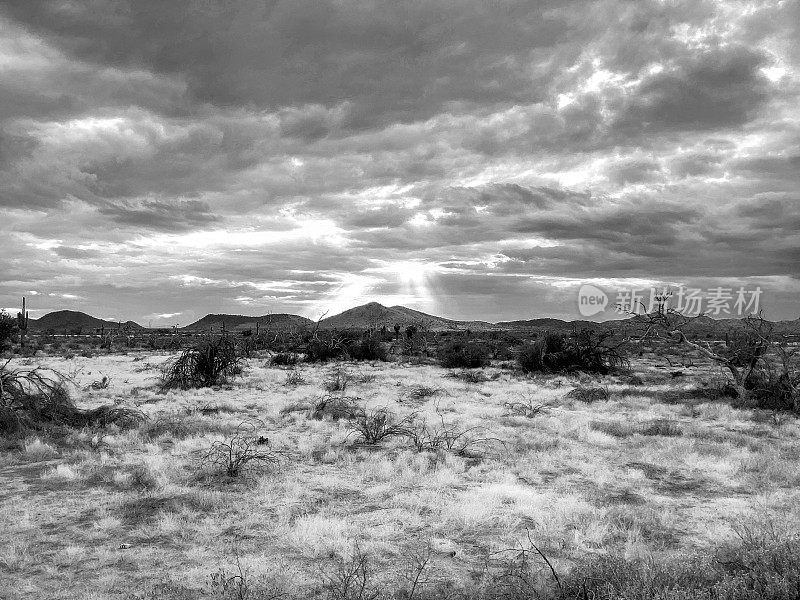 索诺兰沙漠,亚利桑那州