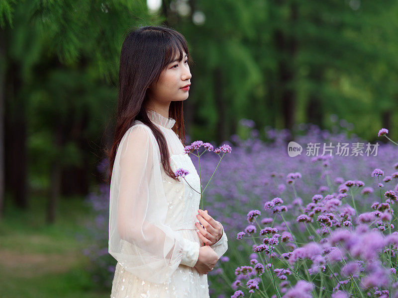 美丽的白衣女子站在紫色马鞭草花田，手拿鲜花望向远方，迷人的中国女孩黑发长发在户外享受着她的闲暇时光。