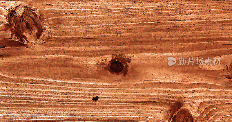 漂亮的木纹。木头的背景。木纹图案纹理背景