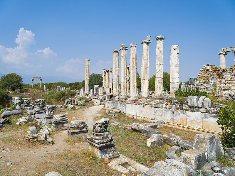 春草古城，aydın。火鸡