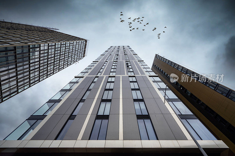 引人注目的视角塔楼现代公寓大楼，俯瞰天际线