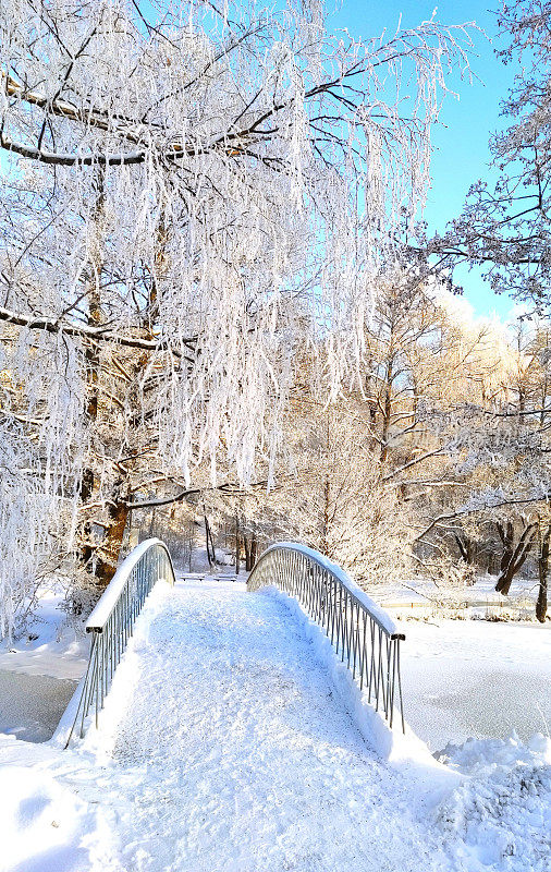 冬日风光，晴天。结霜的树枝和被雪覆盖的人行桥。