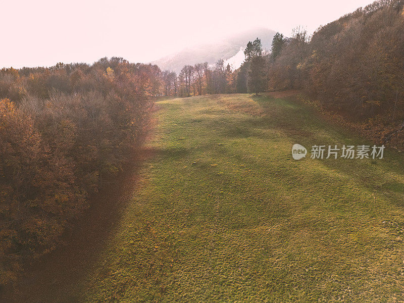 无人机鸟瞰图:彩色混合秋天森林空中背景