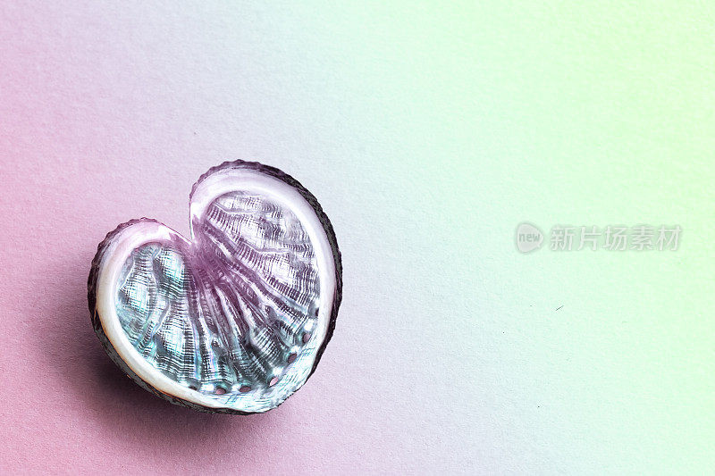 珍珠母心形贝壳在粉红色和绿色的背景