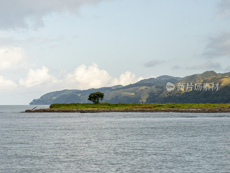 晴天的新西兰海岸线