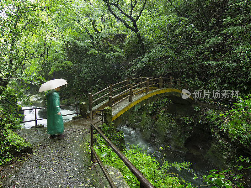 高知湖峡谷的人桥