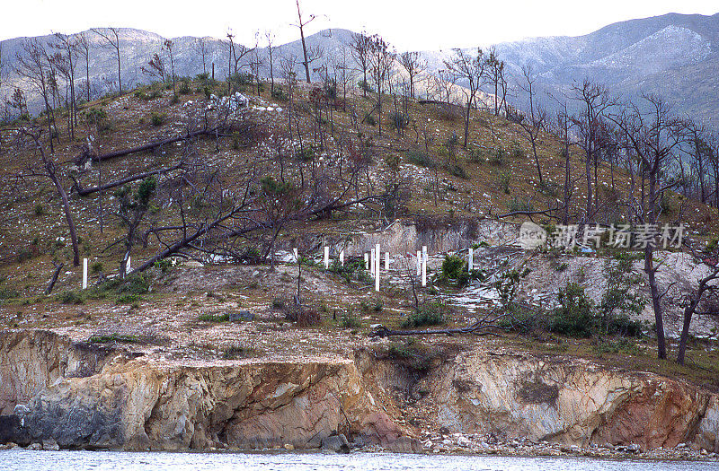 1998年飓风米奇摧毁了洪都拉斯瓜纳加湾群岛北岸的建筑和裸露的山丘，只剩下建筑岗位