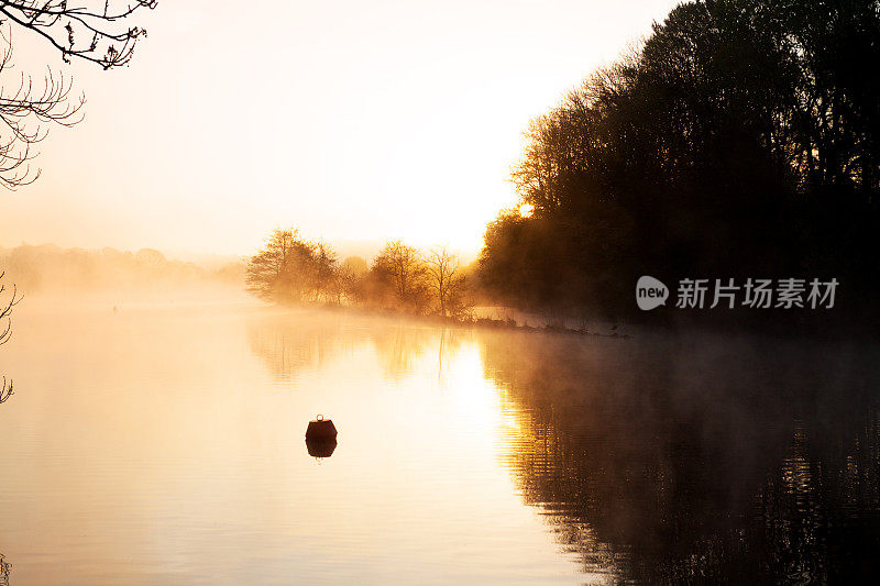 初升的太阳和浓雾