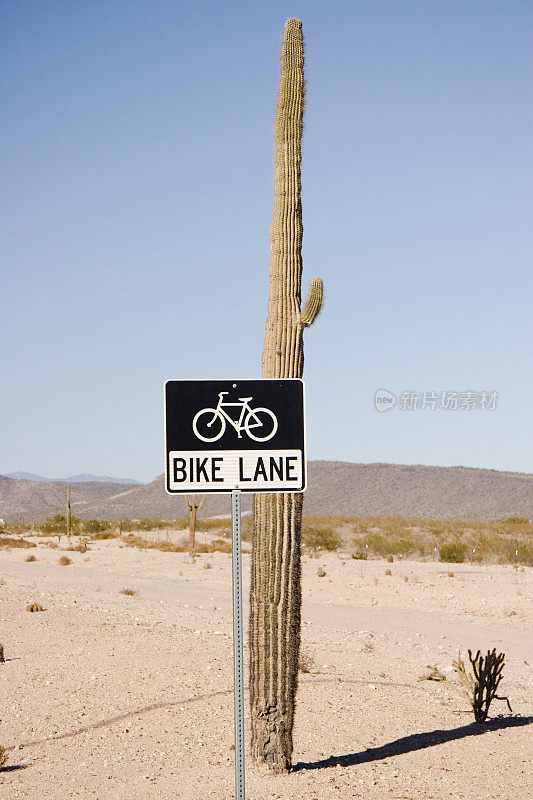 沙漠中的自行车道?