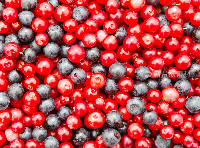 小红莓和bilberies