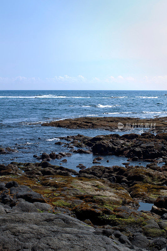 夏威夷海岸