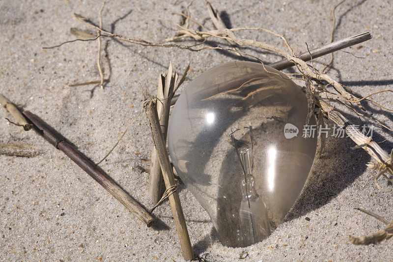 沙滩上的水晶球特写镜头