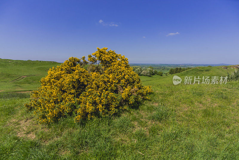 沃里克郡乡村