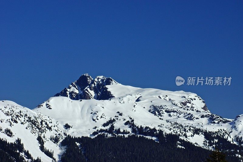 Tomyhoi峰值冰