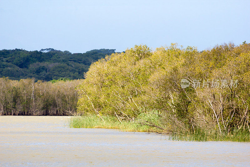 南非夸祖鲁-纳塔尔省的iSimangaliso湿地公园