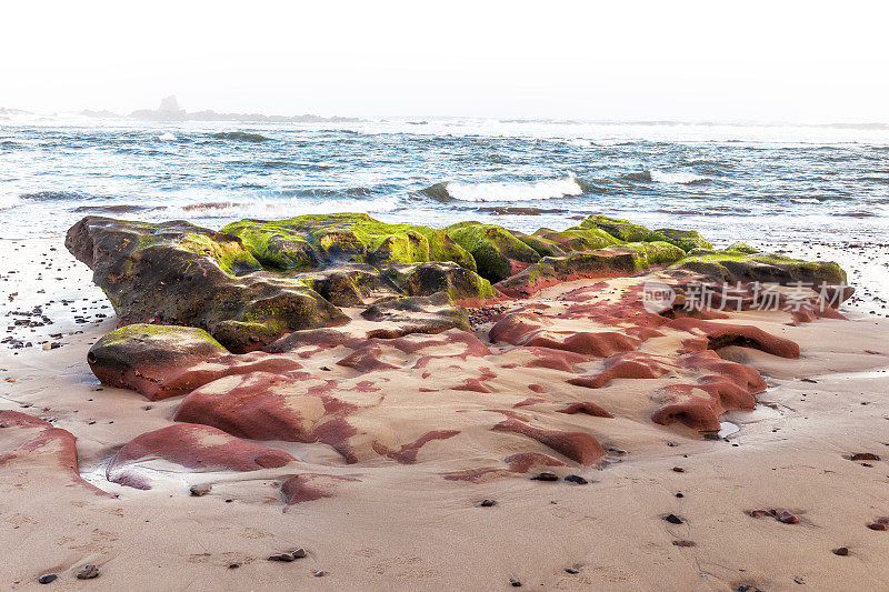 摩洛哥大西洋海岸长满苔藓的石头