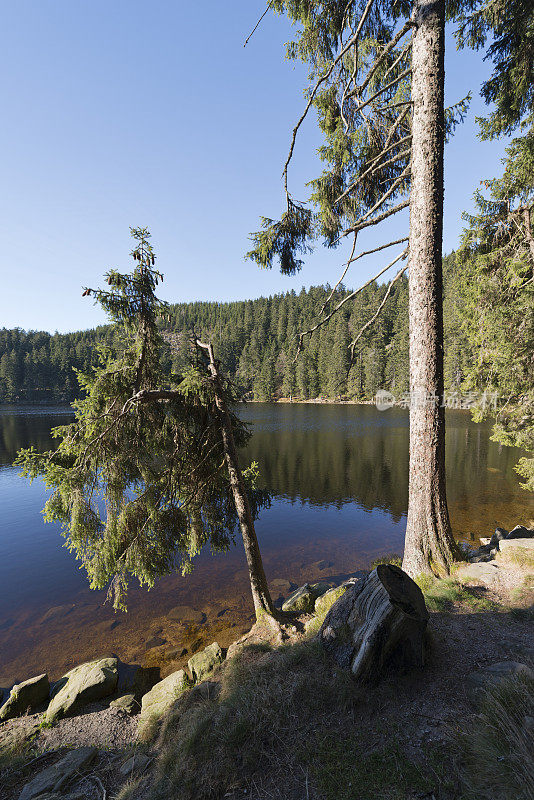 Mummelsee，黑森林，德国