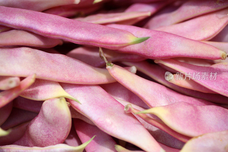 新鲜蔬菜红豆宏