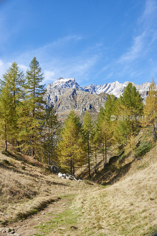 阿尔卑斯山的风景