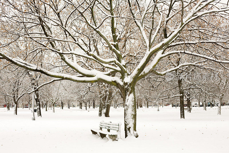 公园里白雪覆盖的长凳