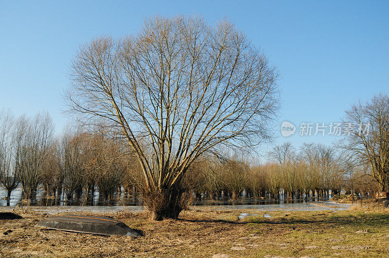 哈韦尔河和船的冬季景观(德国)