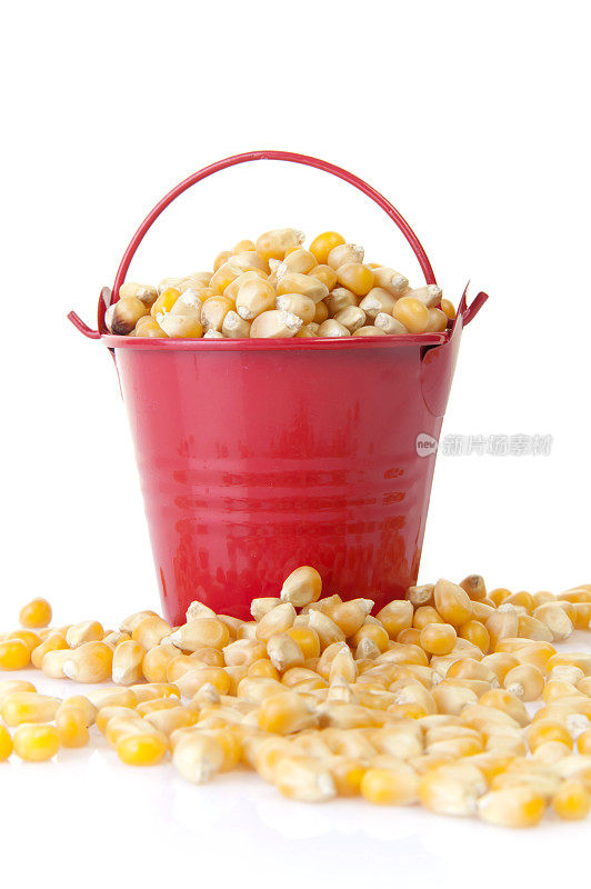 红桶玉米