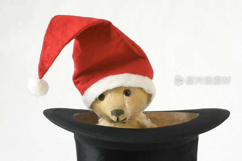 圣诞泰迪熊戴着大礼帽。